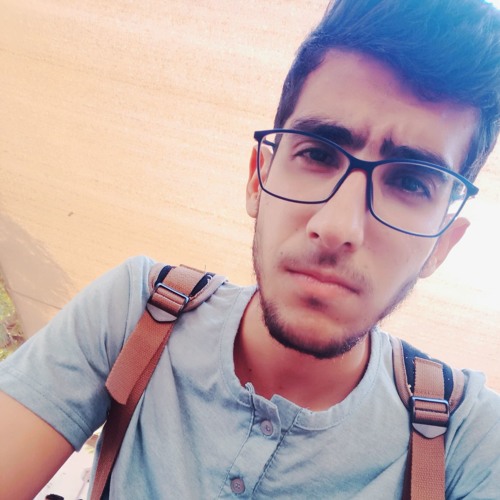 Ali Mokhtar’s avatar