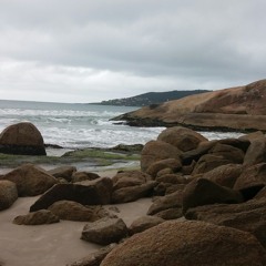 Robson