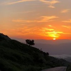 ابو همام ابو زنيمه