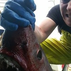 Ólafur Kristínarson