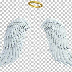 Babyଘ(੭*ˊᵕˋ)੭* ̀ˋWings