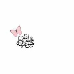 User 566541684