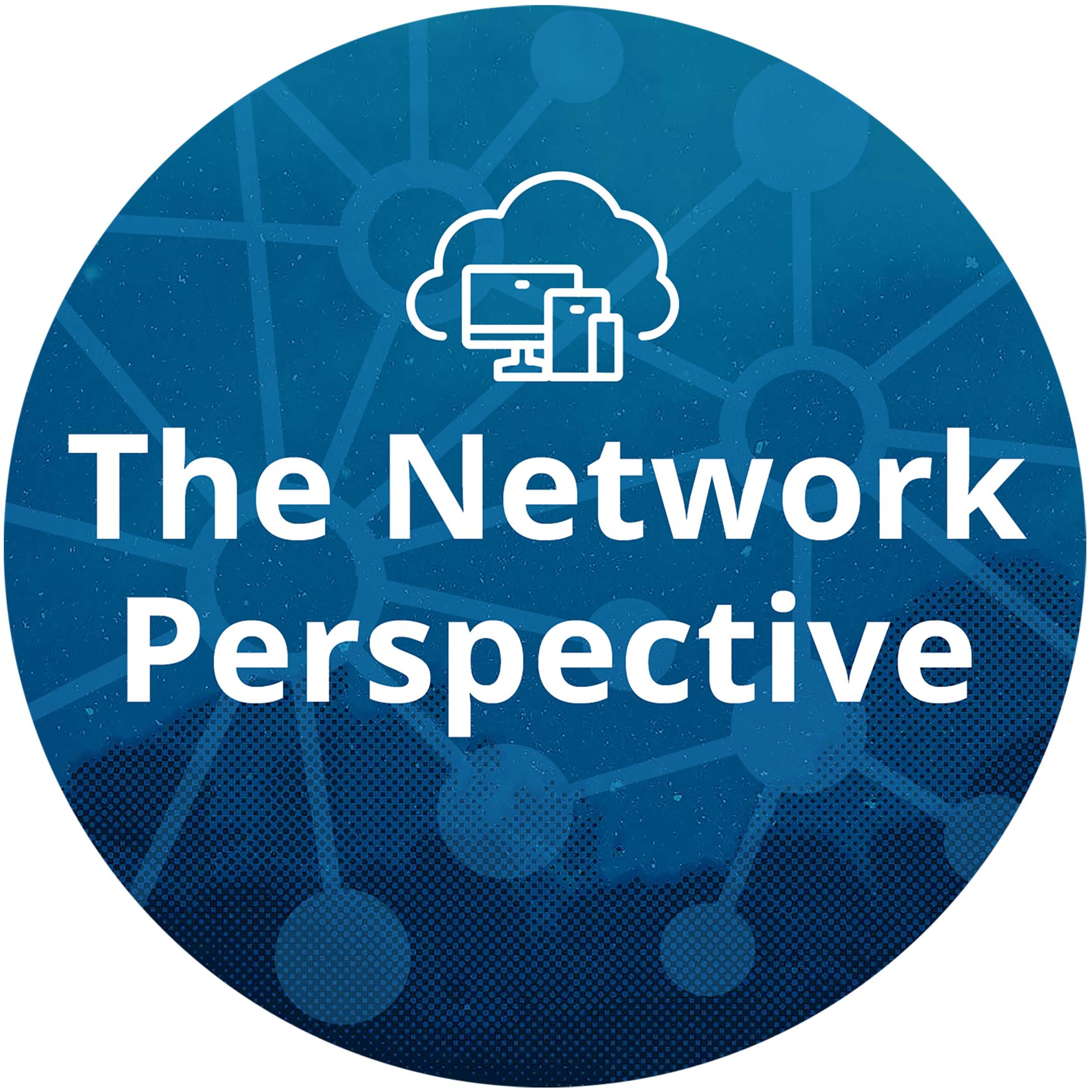 The Network Perspective