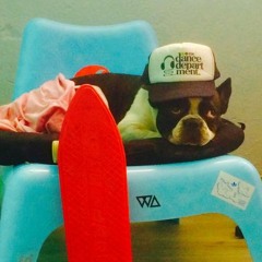 The Laboratory village