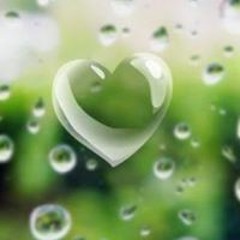 07:00 وفق م مع وش