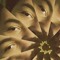 Mainumby Constantino
