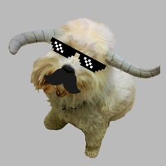 MuffingTeddy