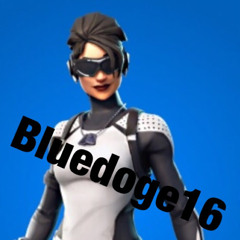 Bluedoge16