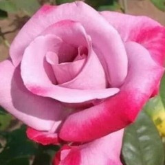 omyaseenashraf