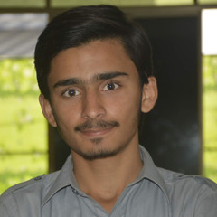 zaib