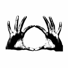 visionariuscrew