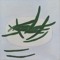 greenbean