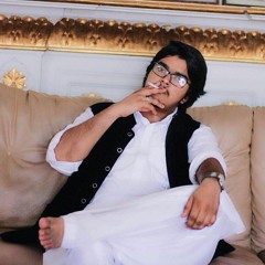 Ch Shahzeb Ali
