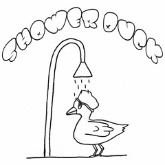 SHOWERDUCK®