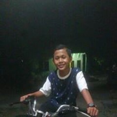 Mhd F