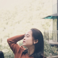 Le Nguyen Phuong Truc