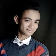 محمد صلاح آلد ولى