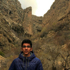 hamed hp