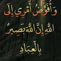 محمد عبدالتواب