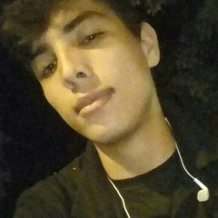rodolfo damian