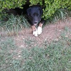 ^_^ ;) Landon