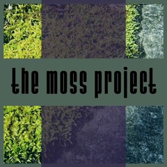 the moss project