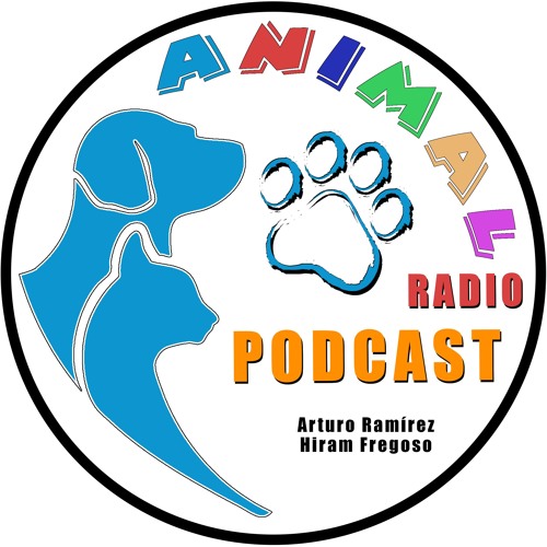 Stream Animal Radio music | Listen to songs, albums, playlists for free on  SoundCloud