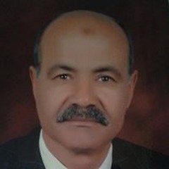 ﻣﺤﻤﺪ ابراهيم
