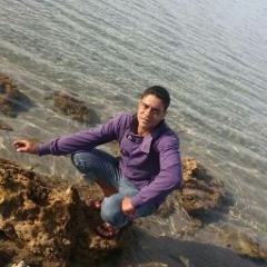 Amr El Torky