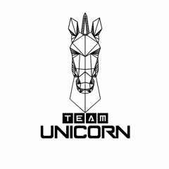 Team Unicorn