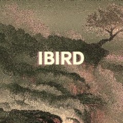 IBIRD