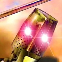 Your average crusader