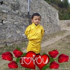 Tibetan collections