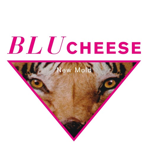 Blu Cheese’s avatar