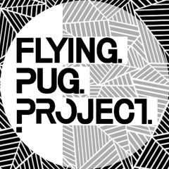 Flying Pug Project