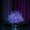 NXZARA$HI