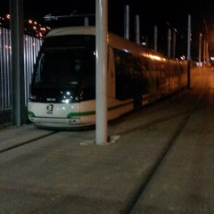 maria elena Velez alvarez