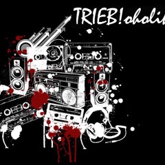 TRIEB! / PuristikBeats