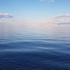 Marianne Verschueren