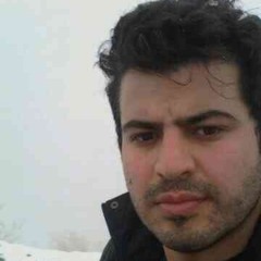 soheil saeidi