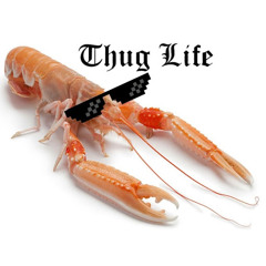 Dj langouste