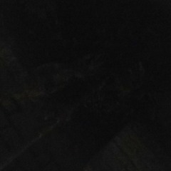 dawood