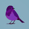 Birdie