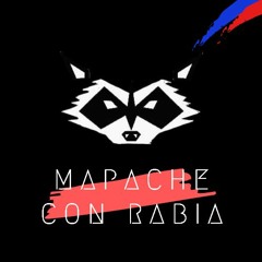 Mapaches Con Rabia Oficial