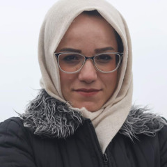 najmeh mohammadkhani