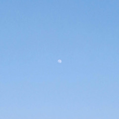 김보형