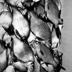 Нурминский - Зашумел Район.mp3