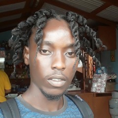 zimsim