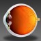 eyemoeba