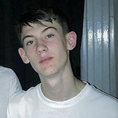 Wardy